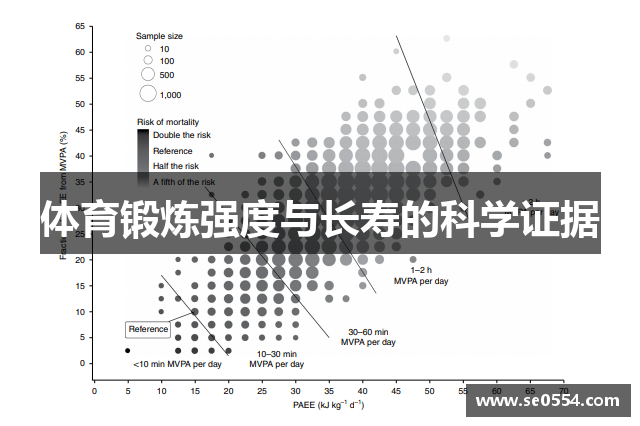 体育锻炼强度与长寿的科学证据